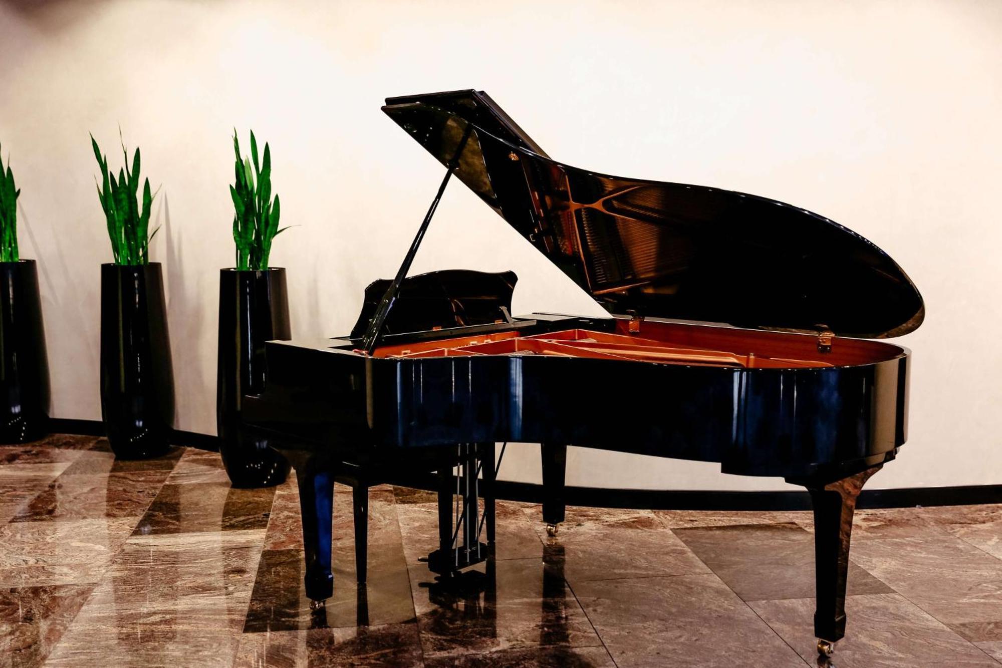 Hotel Hilton Brisbane Exterior foto A grand piano